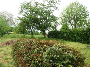 Barn_conversion for sale in Pontiacq-Viellepinte (Aquitaine)