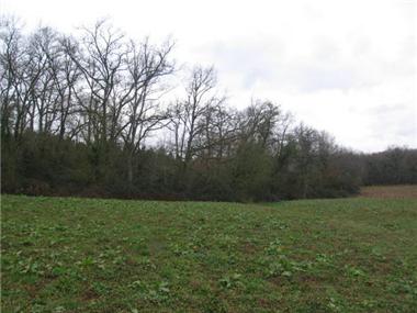 Barn_conversion for sale in Pomarez (Aquitaine)