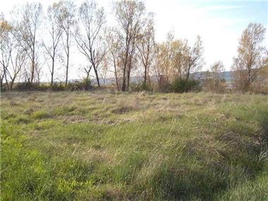 Land for sale in Agres (Valencia)