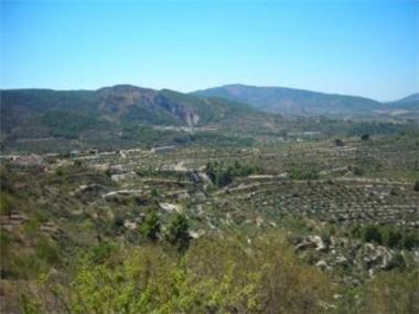 Land for sale in Benasau (Valencia)