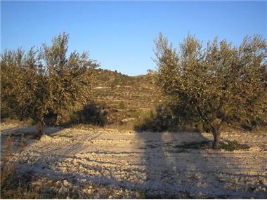 Land for sale in Planes (Valencia)
