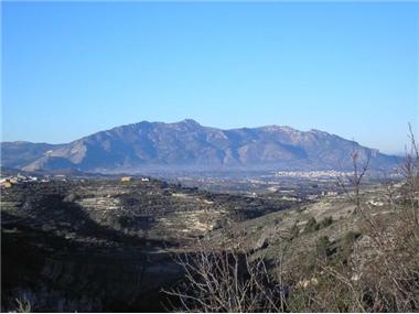 Land for sale in Margarida (Valencia)