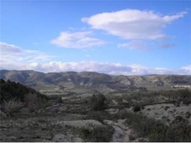 Land for sale in Facheca (Valencia)
