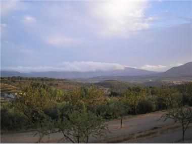 Land for sale in Gorga (Valencia)