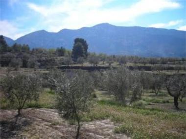 Land for sale in Balones (Valencia)