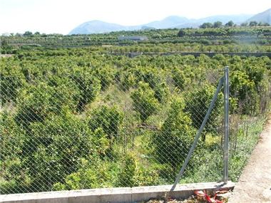 Land for sale in Pego (Valencia)