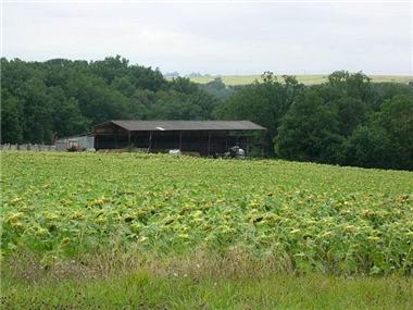 Barn_conversion for sale in Estramiac (Midi-Pyrenees)