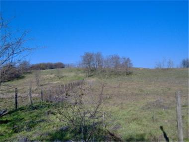 Land for sale in Dobrich (Dobrich)