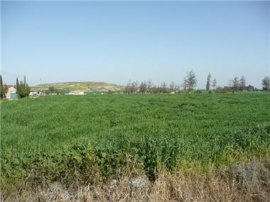 Other for sale in Kato Dheftera (Nicosia)