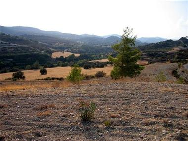 Other for sale in Kalavasos (Larnaca)
