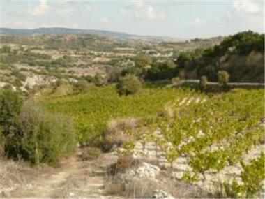 Other for sale in Polemi (Paphos)