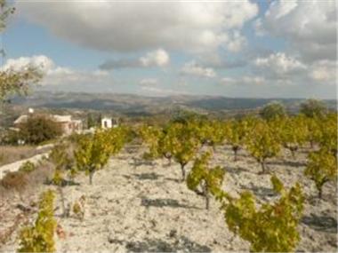 Other for sale in Polemi (Paphos)