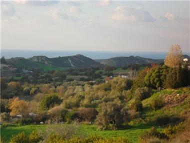 Other for sale in Steni (Paphos)