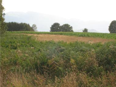 Land for sale in Avezac-Prat-Lahitte (Midi-Pyrenees)