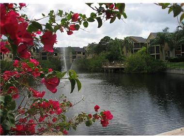 Flat/apartment for sale in Saint Petersburg (Florida)