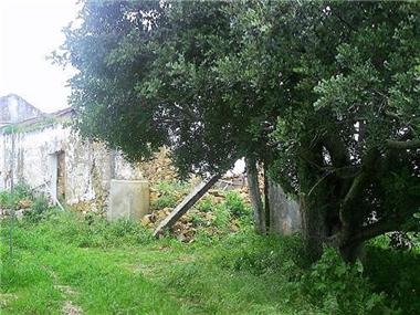 Farm for sale in Moncarapacho (Faro)