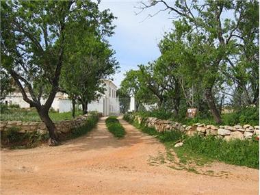 Land for sale in Tunes (Faro)
