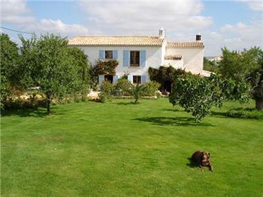 Villa / Townhouse for sale in Tunes (Faro)