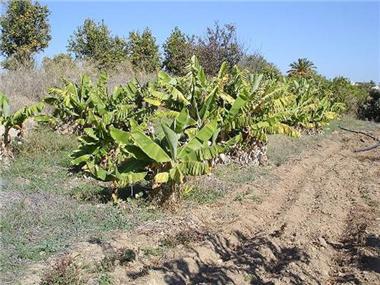 Villa / Townhouse for sale in Porches (Faro)