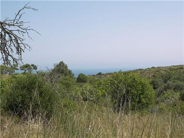 Land for sale in Atalaia (Faro)