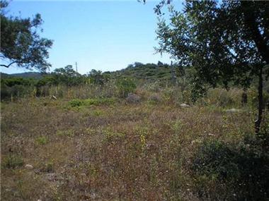 Land for sale in Santa Catarina da Fonte do Bispo (Faro)