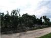 Land/Ruins for sale in Governor's Harbour (Governor's Harbour)