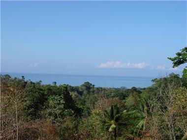 Land for sale in Uvita (Puntarenas)
