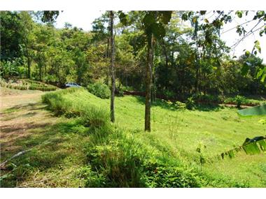 Land for sale in Dominical (Puntarenas)