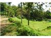 Land/Ruins for sale in Dominical (Puntarenas)