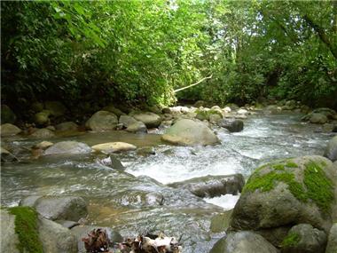 House/villa for sale in Ojochal (Puntarenas)