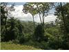 Land/Ruins for sale in Uvita (Puntarenas)