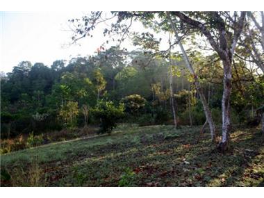 Land for sale in Sierpe (Puntarenas)