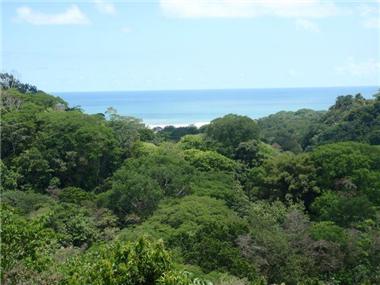 Land for sale in Dominical (Puntarenas)