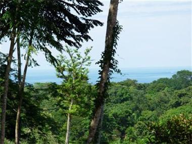 Land for sale in Uvita (Puntarenas)