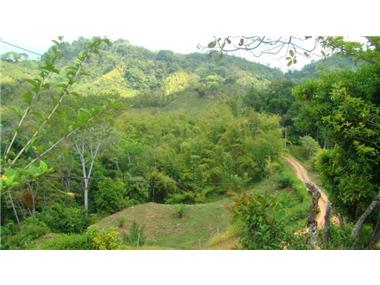House/villa for sale in Matapalo (Puntarenas)