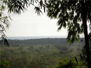 House/villa for sale in Matapalo (Puntarenas)
