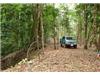 Land/Ruins for sale in Uvita (Puntarenas)