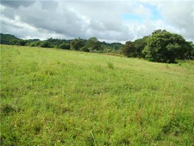 House/villa for sale in Sierpe (Puntarenas)
