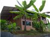 House/Villa for sale in Ojochal (Puntarenas)