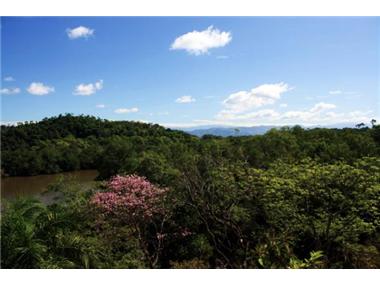 Land for sale in Sierpe (Puntarenas)