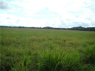 House/villa for sale in Sierpe (Puntarenas)