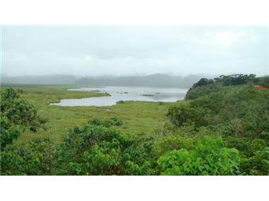 House/villa for sale in Sierpe (Puntarenas)
