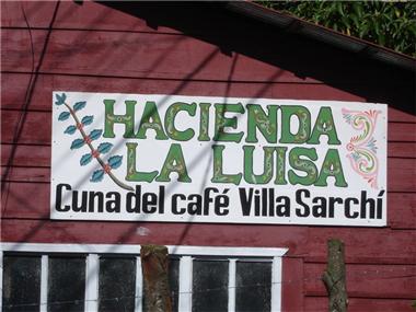 Commercial for sale in Grecia (Alajuela)