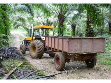 Commercial for sale in Golfito (Puntarenas)