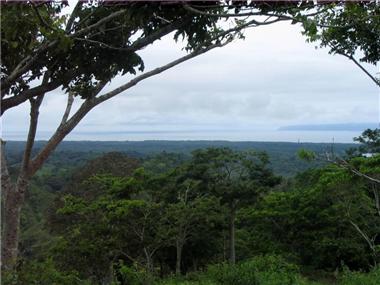 Land for sale in Golfito (Puntarenas)