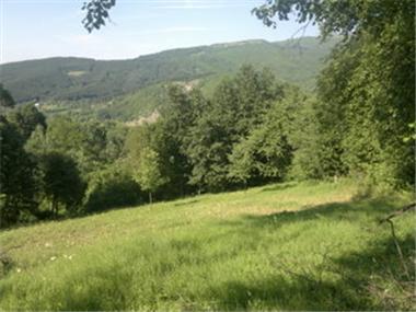 Land for sale in Botevgrad (Sofiya)