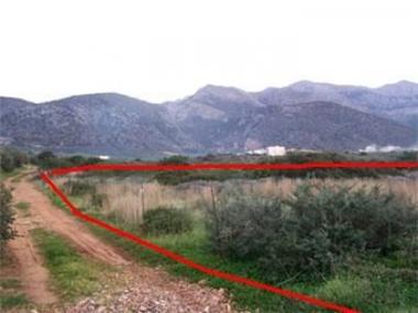 Land for sale in Sissi (Crete)