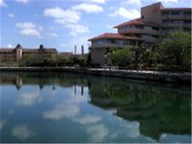 House/Villa for sale in Puerto Aventuras (Quintana Roo)