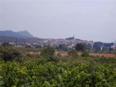 Land for sale in Gaianes (Valencia)