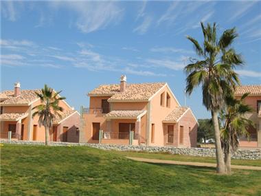 Villa / Detached for sale in Algorfa (Valencia)